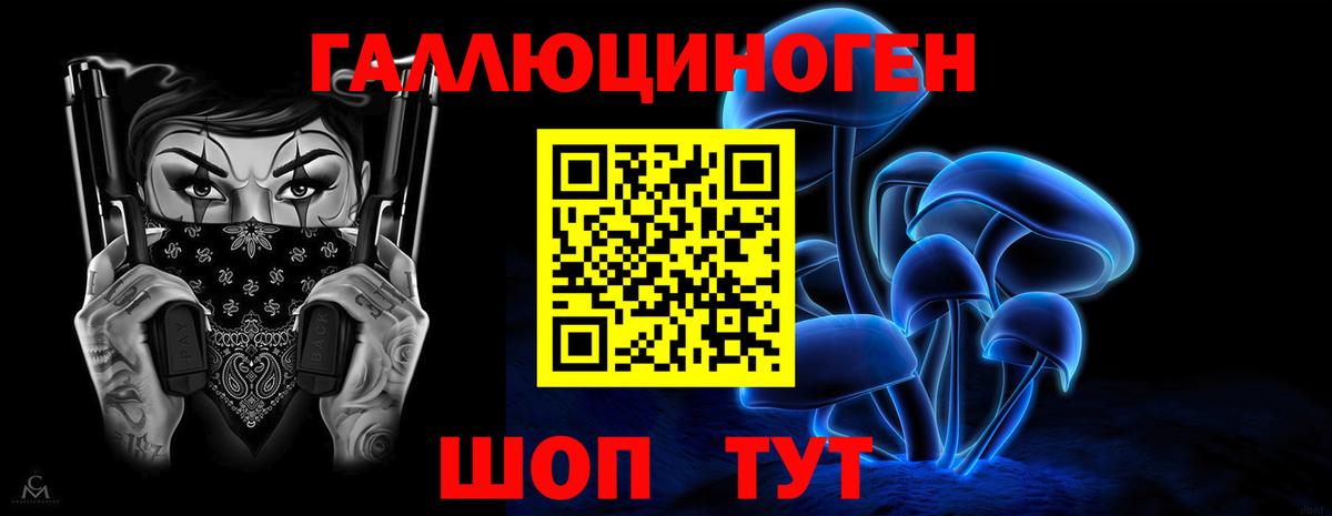 Псилоцибиновые грибы GOLDEN TEACHER Лесной