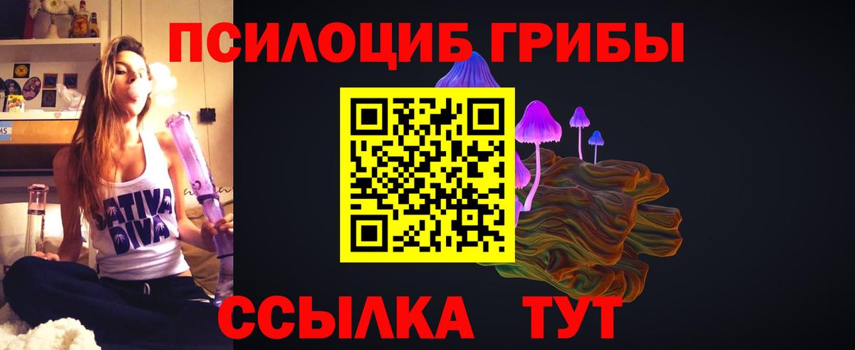 Галлюциногенные грибы ЛСД  Псилоцибиновые грибы прущие грибы  Лесной  Вход с VPN 