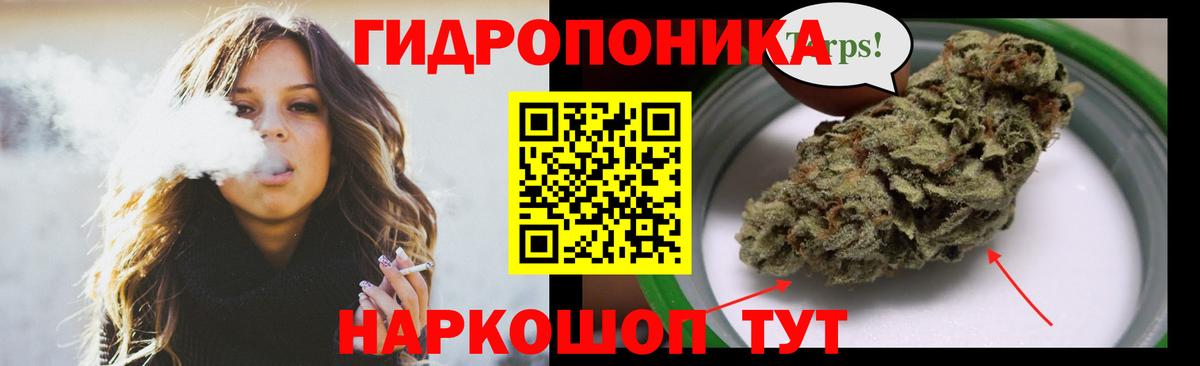 Шишки марихуана THC 21%  Вход с VPN  Марихуана гибрид  Марихуана LSD WEED  Лесной 